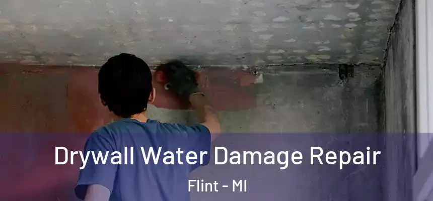  Drywall Water Damage Repair Flint - MI