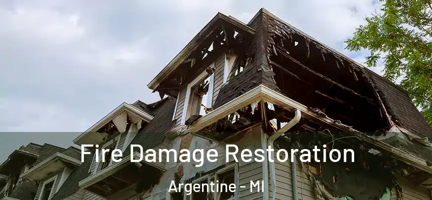  Fire Damage Restoration Argentine - MI