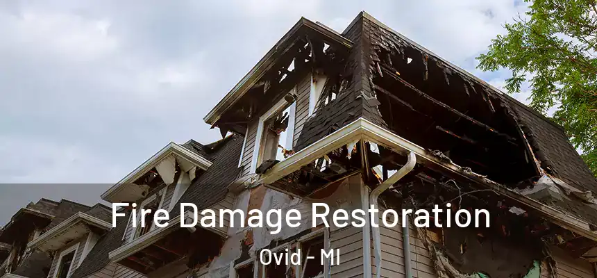  Fire Damage Restoration Ovid - MI