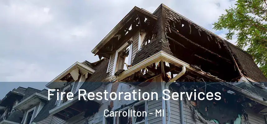  Fire Restoration Services Carrollton - MI