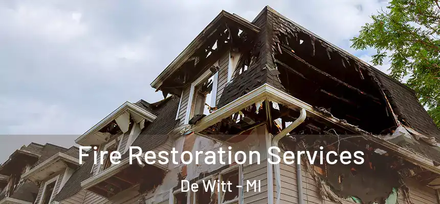  Fire Restoration Services De Witt - MI