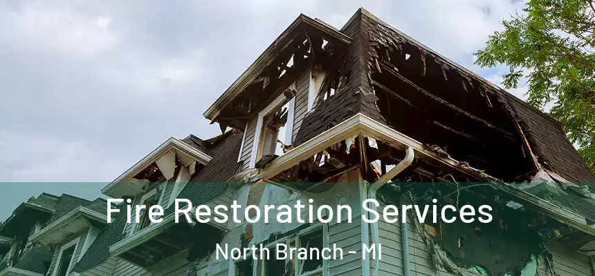  Fire Restoration Services North Branch - MI
