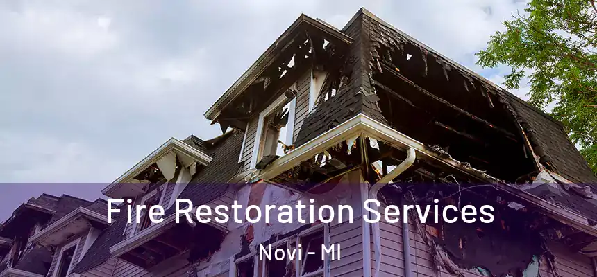  Fire Restoration Services Novi - MI