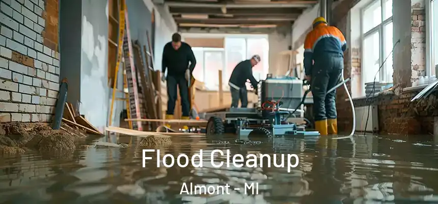  Flood Cleanup Almont - MI