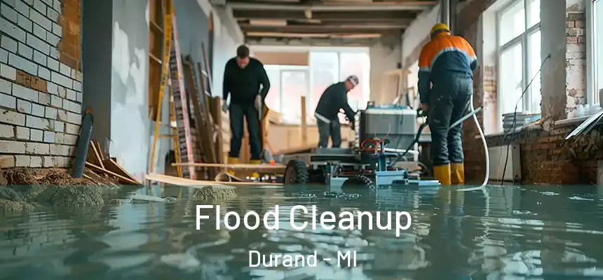  Flood Cleanup Durand - MI