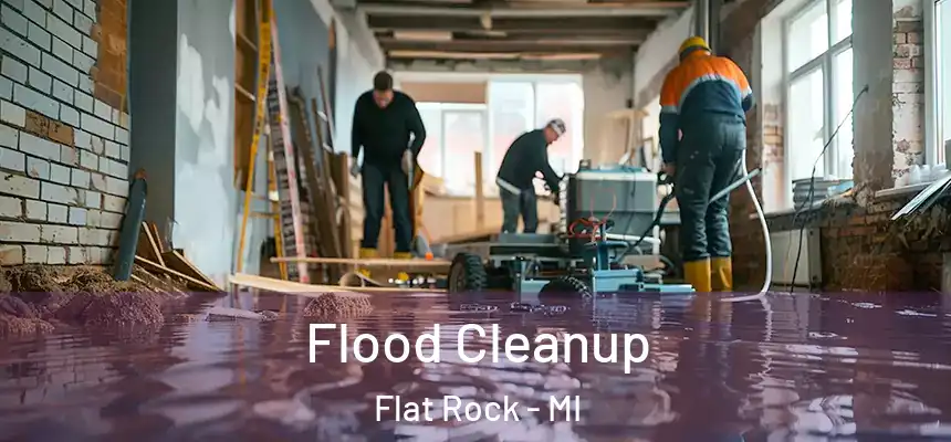  Flood Cleanup Flat Rock - MI