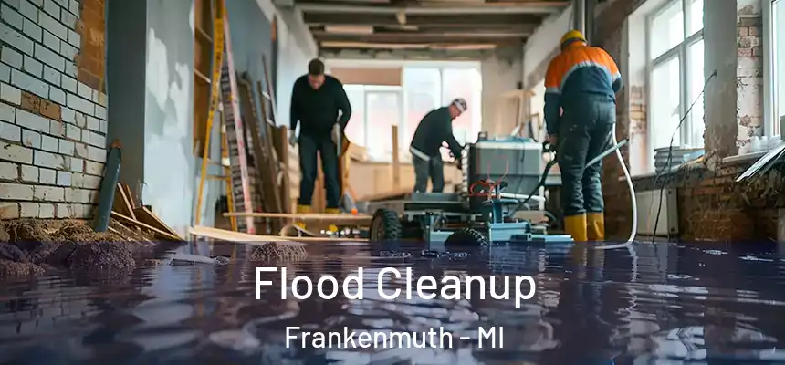  Flood Cleanup Frankenmuth - MI