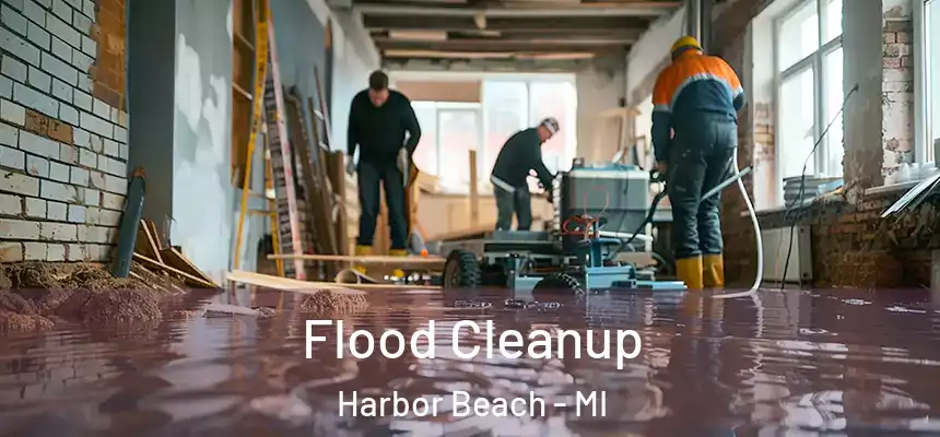  Flood Cleanup Harbor Beach - MI