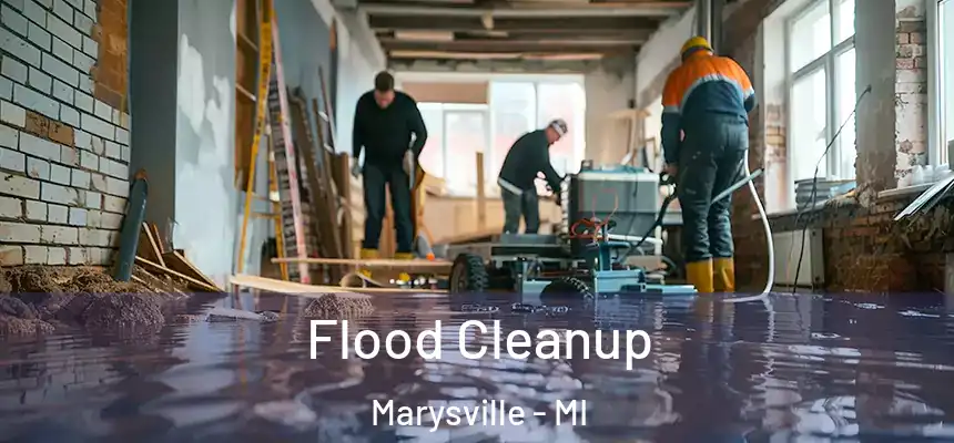 Flood Cleanup Marysville - MI