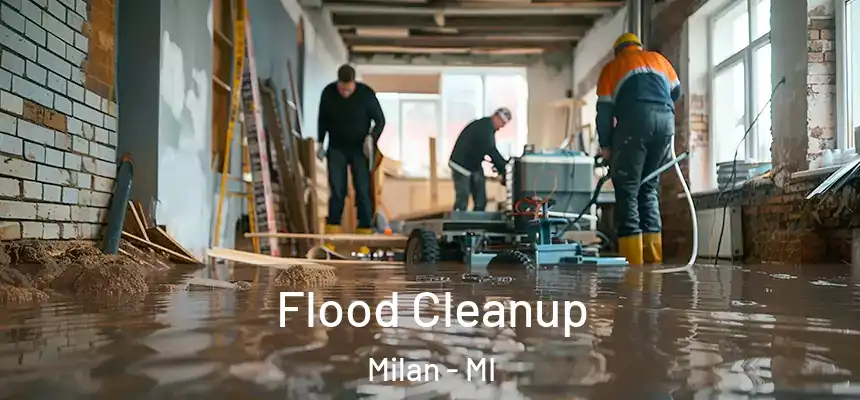 Flood Cleanup Milan - MI