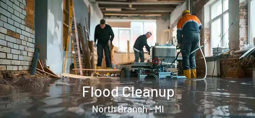 Flood Cleanup North Branch - MI