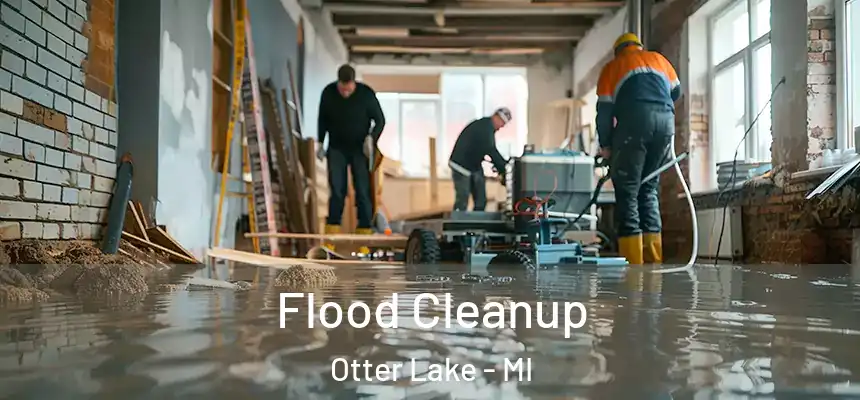  Flood Cleanup Otter Lake - MI