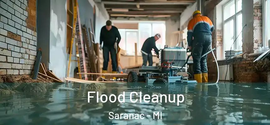  Flood Cleanup Saranac - MI