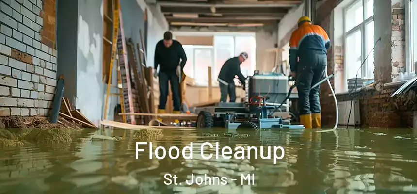 Flood Cleanup St. Johns - MI