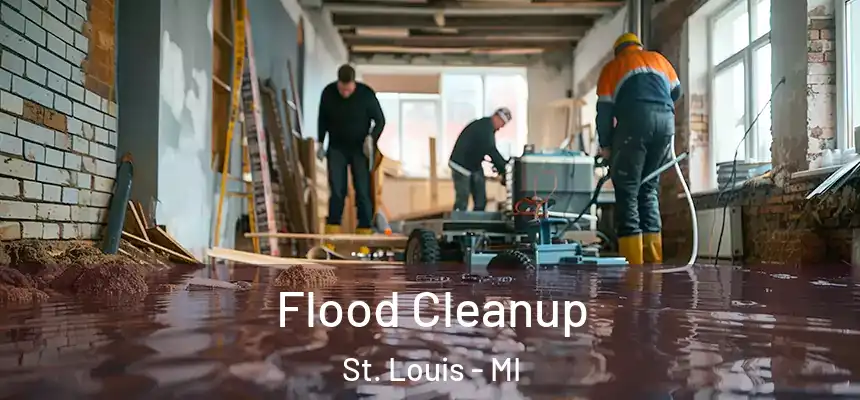 Flood Cleanup St. Louis - MI