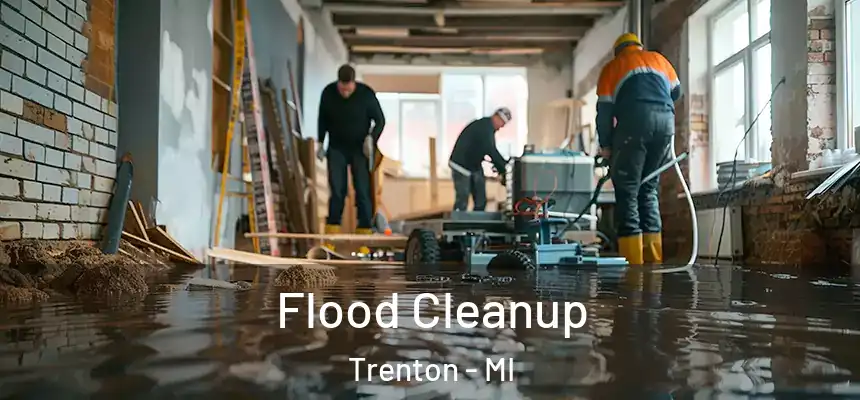 Flood Cleanup Trenton - MI