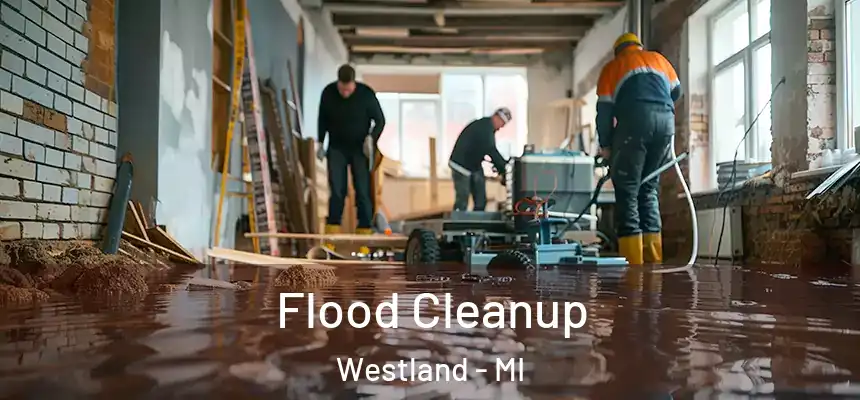  Flood Cleanup Westland - MI