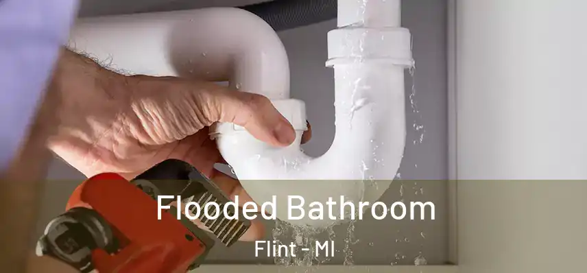  Flooded Bathroom Flint - MI