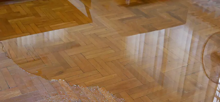 Laminate Wood Floor Water Damage Repair in Flint