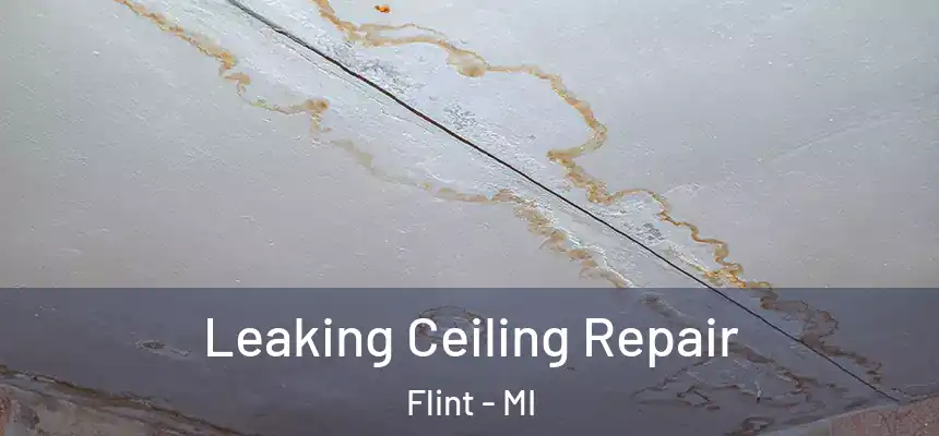  Leaking Ceiling Repair Flint - MI