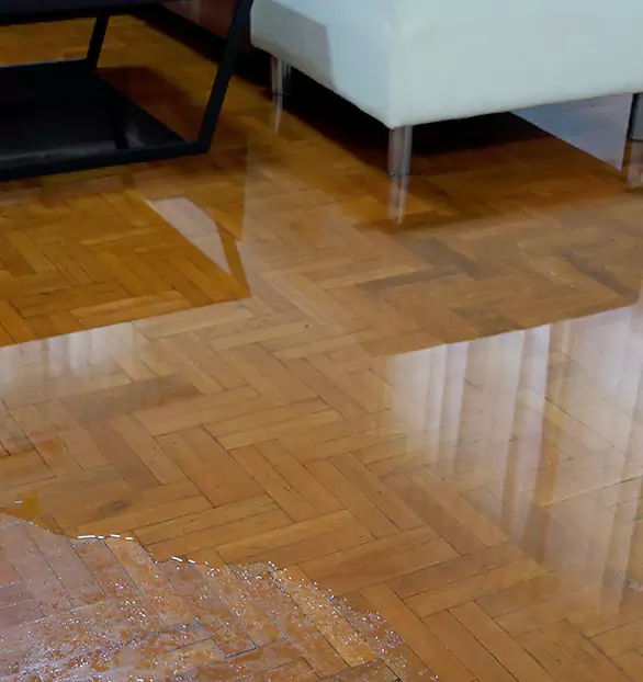 Trusted Emergency Water Restoration Company in Flint, MI