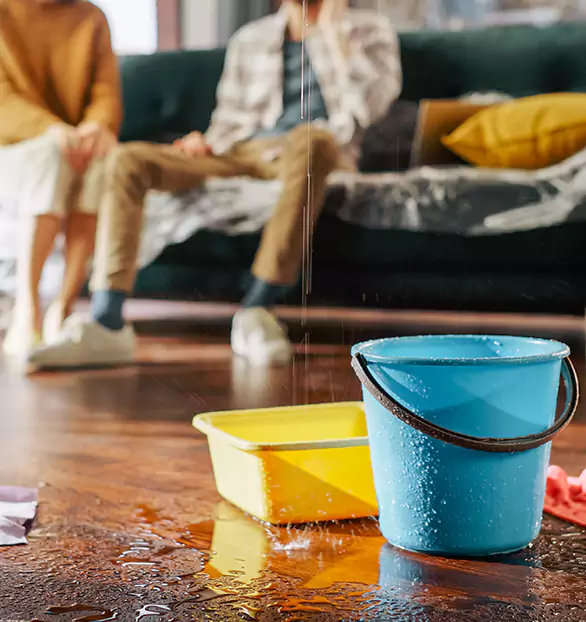 Trusted Water Remediation Company in Flint, MI