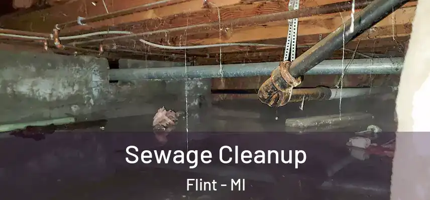  Sewage Cleanup Flint - MI