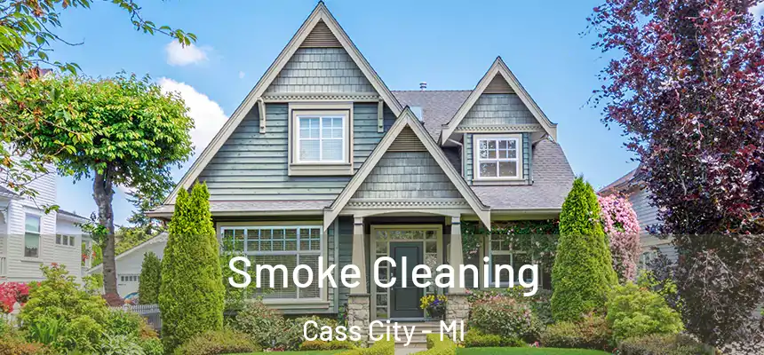  Smoke Cleaning Cass City - MI