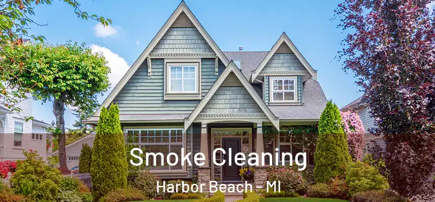  Smoke Cleaning Harbor Beach - MI