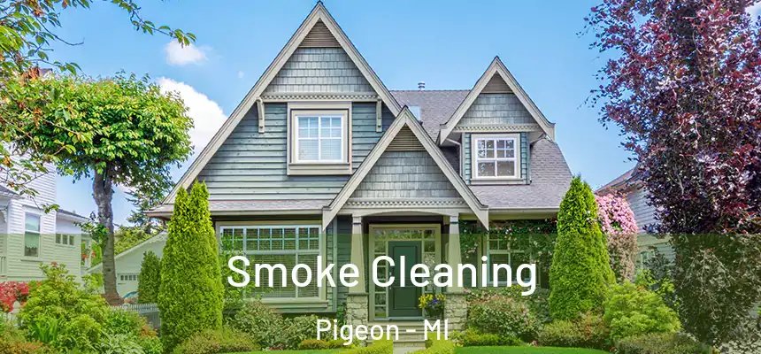  Smoke Cleaning Pigeon - MI