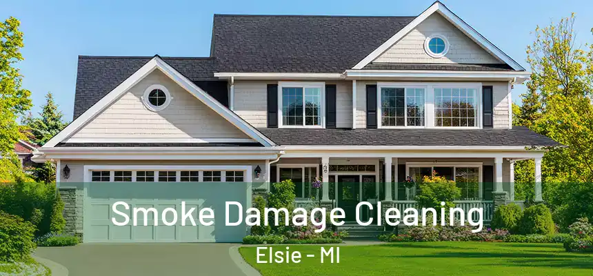  Smoke Damage Cleaning Elsie - MI