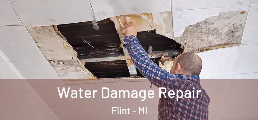  Water Damage Repair Flint - MI